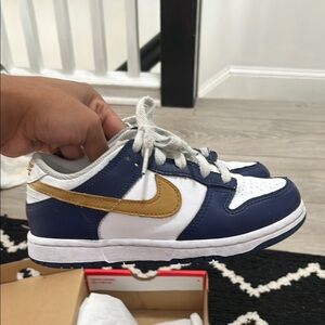 Kids Nike Dunk Low PSE
